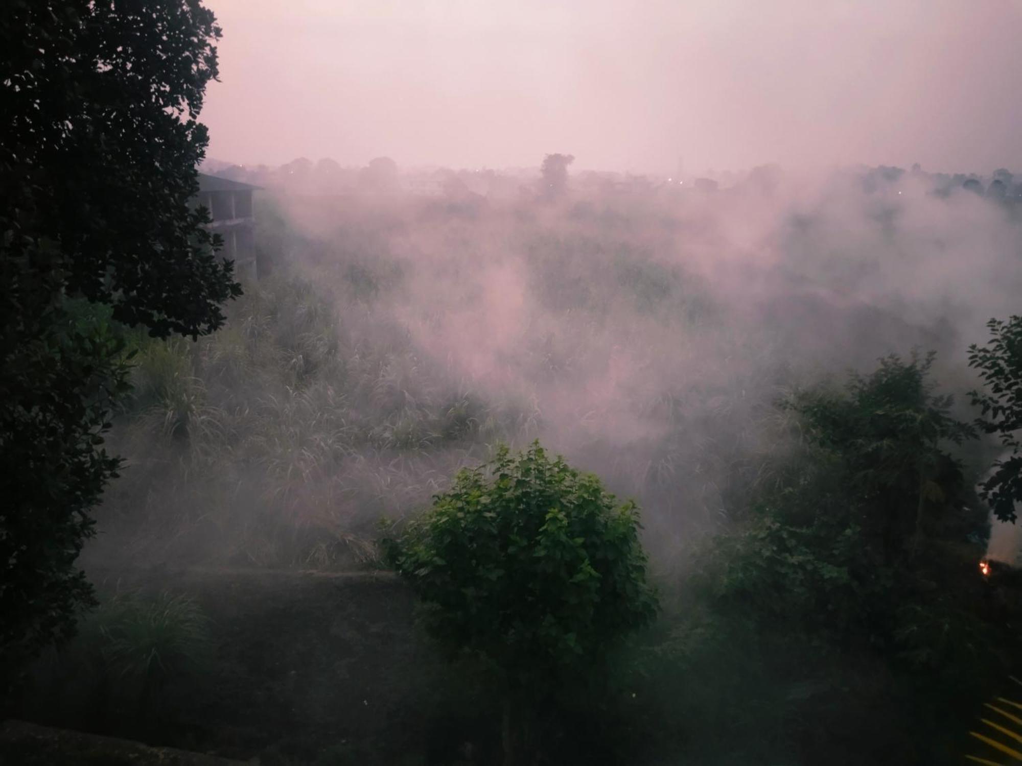 Airport Luxury Nature Homestay- Near Jolly Grant Airport Dehradun Doiwāla Eksteriør bilde