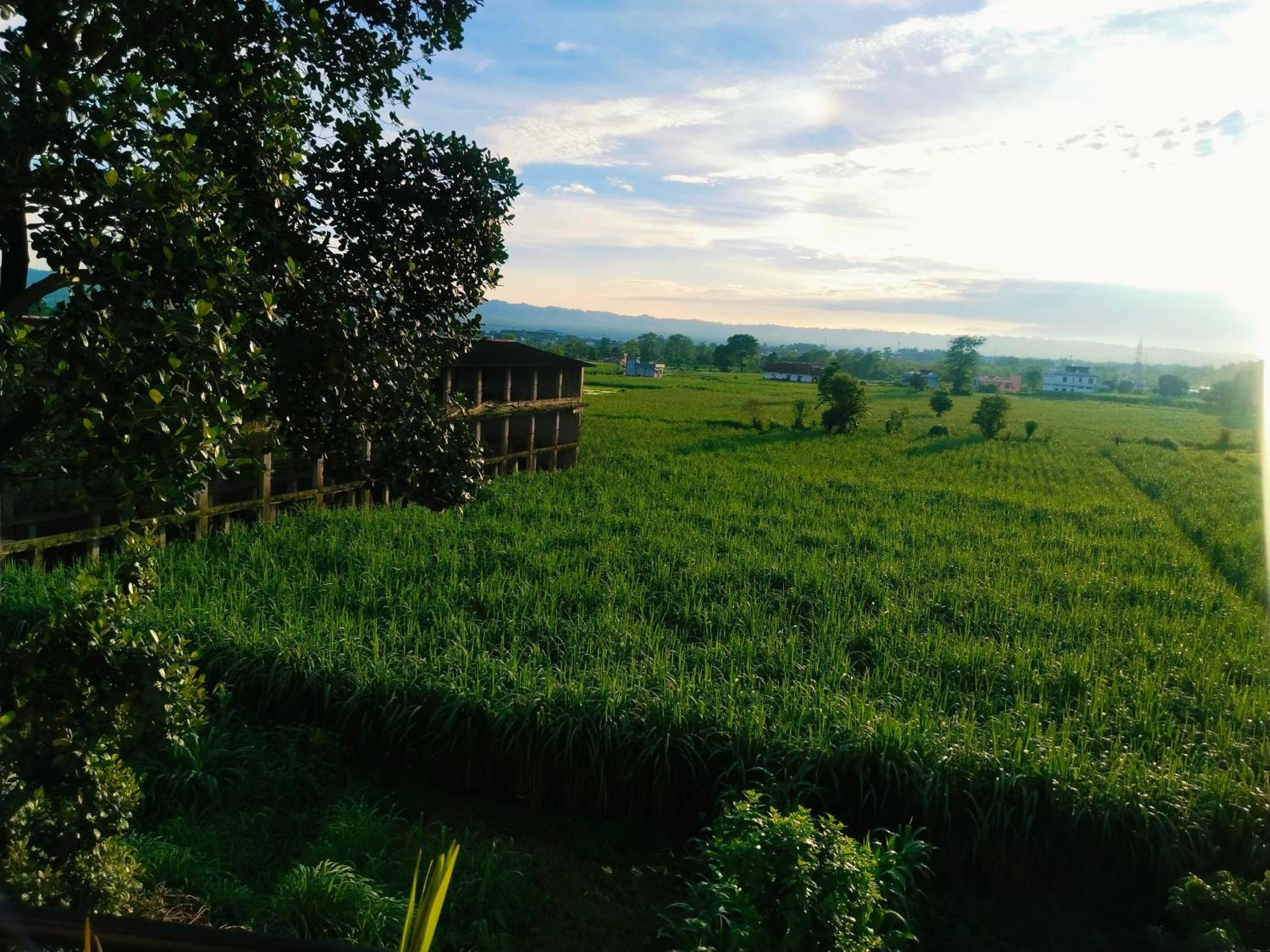 Airport Luxury Nature Homestay- Near Jolly Grant Airport Dehradun Doiwāla Eksteriør bilde