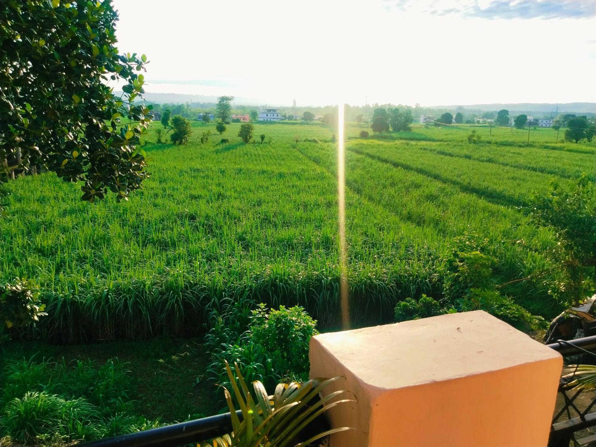 Airport Luxury Nature Homestay- Near Jolly Grant Airport Dehradun Doiwāla Eksteriør bilde