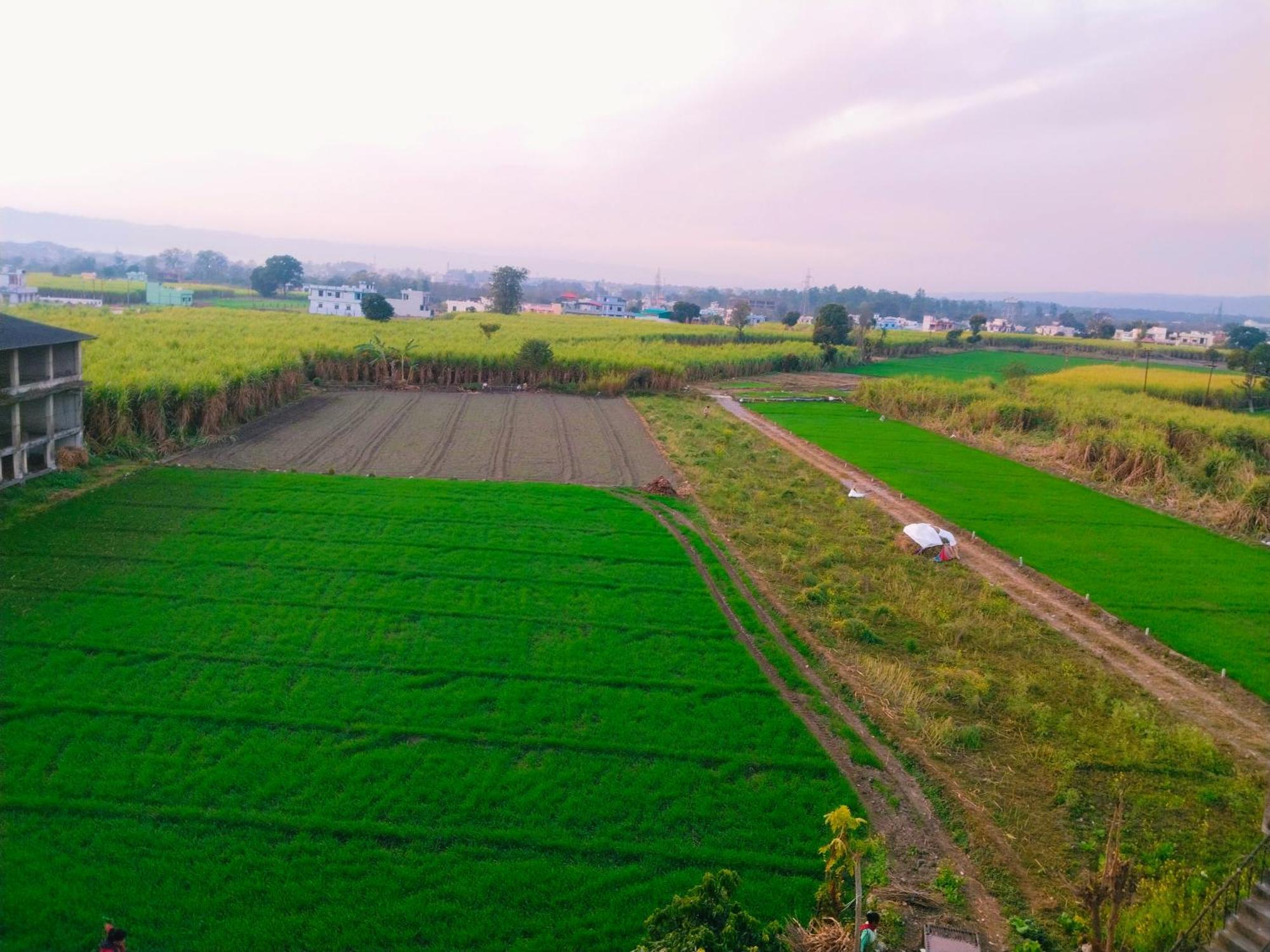 Airport Luxury Nature Homestay- Near Jolly Grant Airport Dehradun Doiwāla Eksteriør bilde