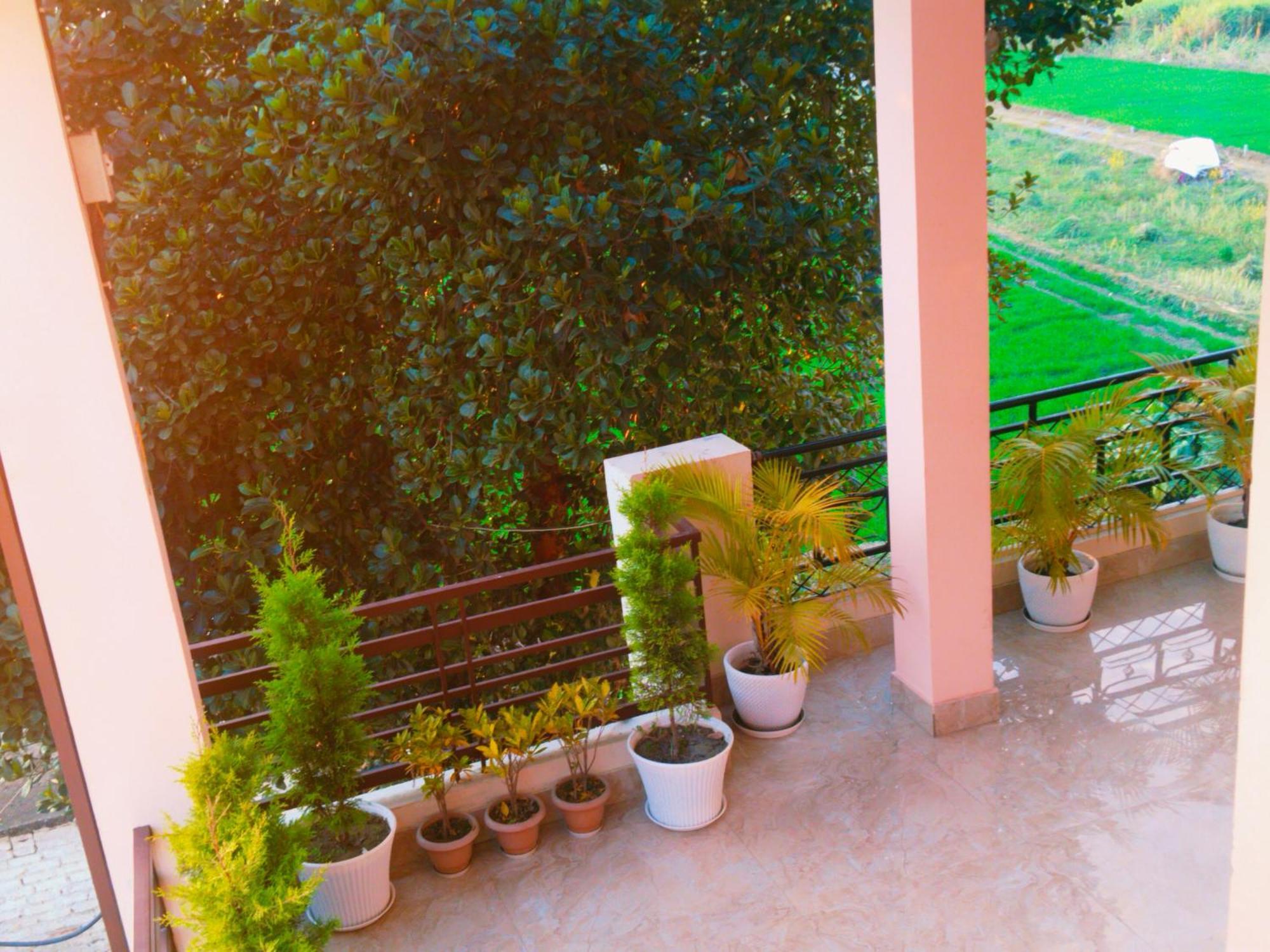 Airport Luxury Nature Homestay- Near Jolly Grant Airport Dehradun Doiwāla Eksteriør bilde