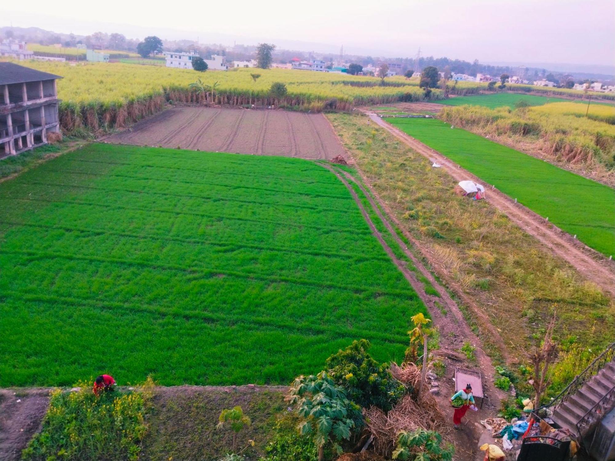 Airport Luxury Nature Homestay- Near Jolly Grant Airport Dehradun Doiwāla Eksteriør bilde