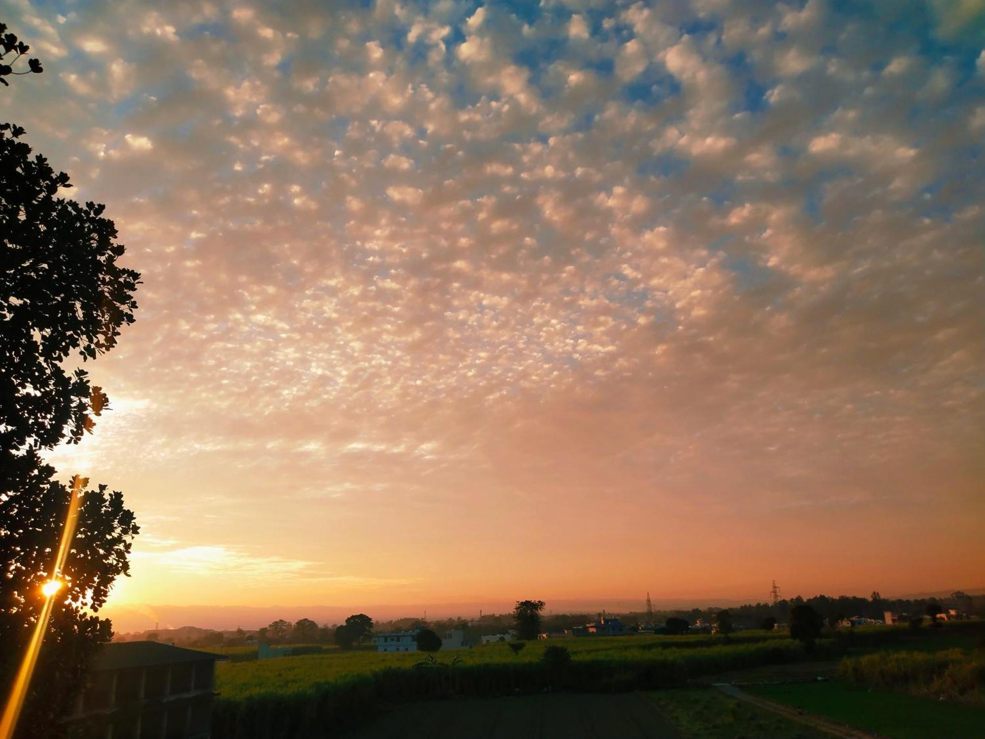 Airport Luxury Nature Homestay- Near Jolly Grant Airport Dehradun Doiwāla Eksteriør bilde