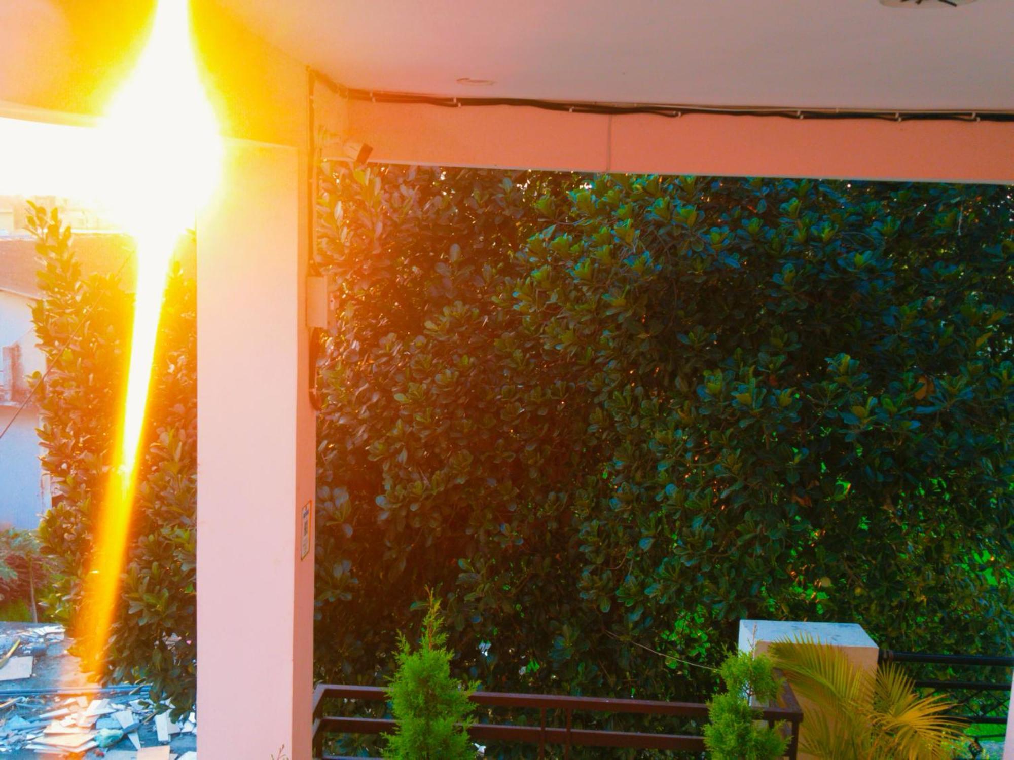 Airport Luxury Nature Homestay- Near Jolly Grant Airport Dehradun Doiwāla Eksteriør bilde