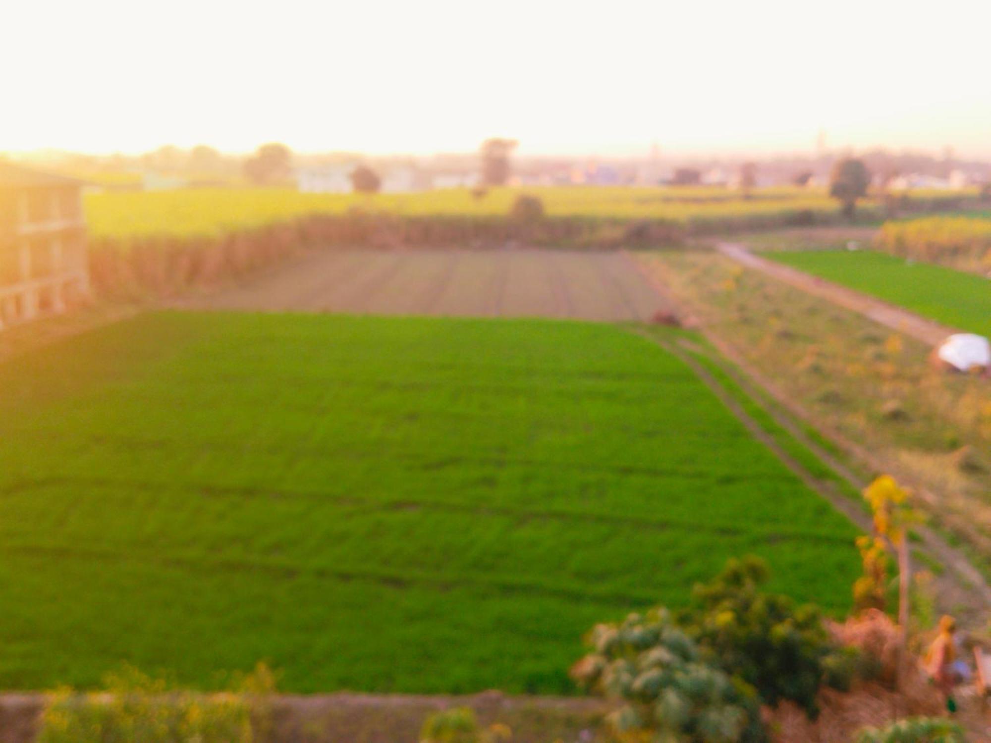 Airport Luxury Nature Homestay- Near Jolly Grant Airport Dehradun Doiwāla Eksteriør bilde