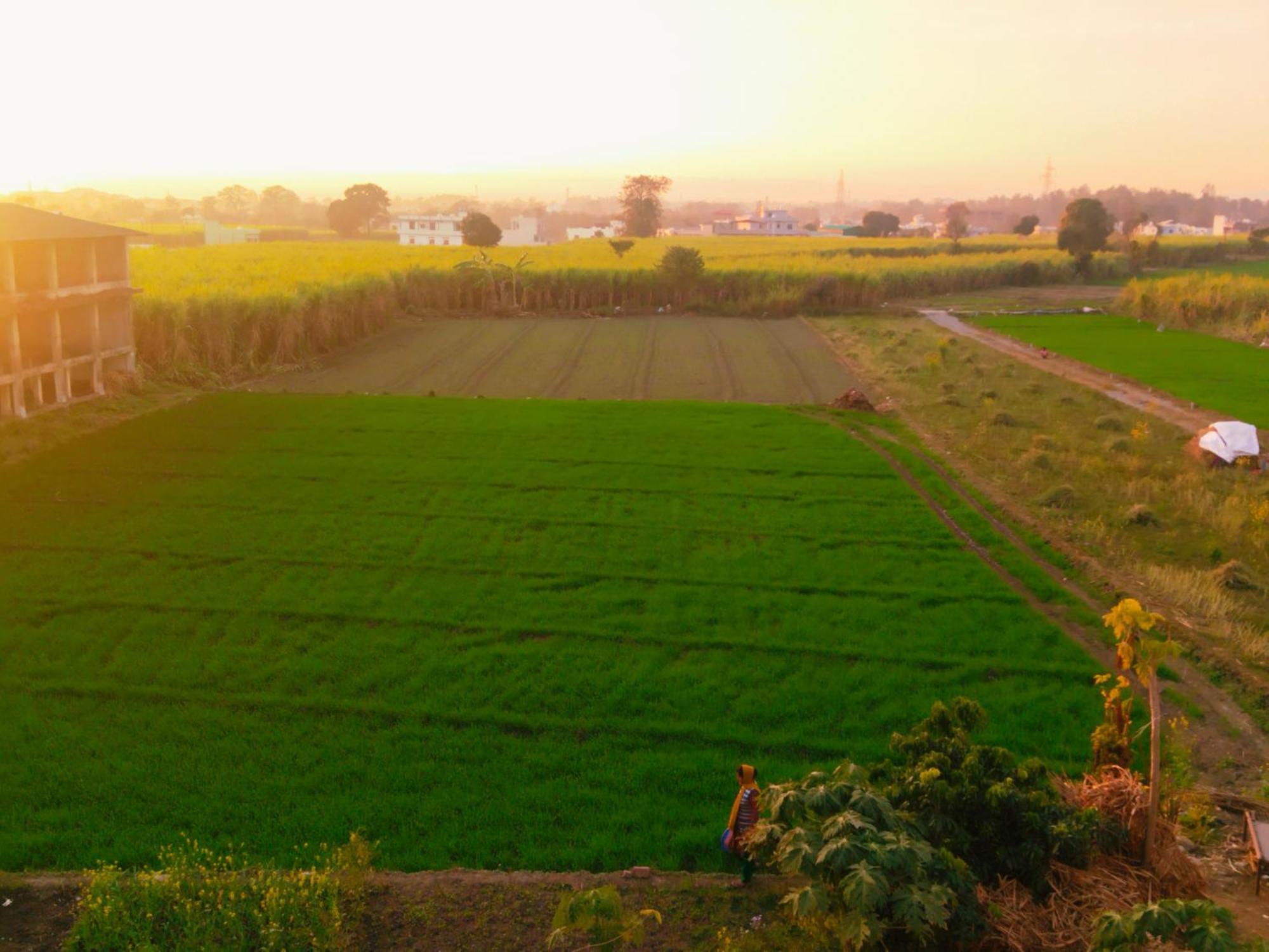 Airport Luxury Nature Homestay- Near Jolly Grant Airport Dehradun Doiwāla Eksteriør bilde